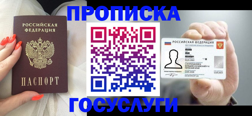 прописка гарантия в Камышине